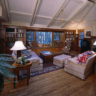 levin1-resized